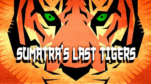 Sumatra's Last Tigers