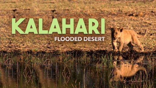 Kalahari: The Flooded Desert