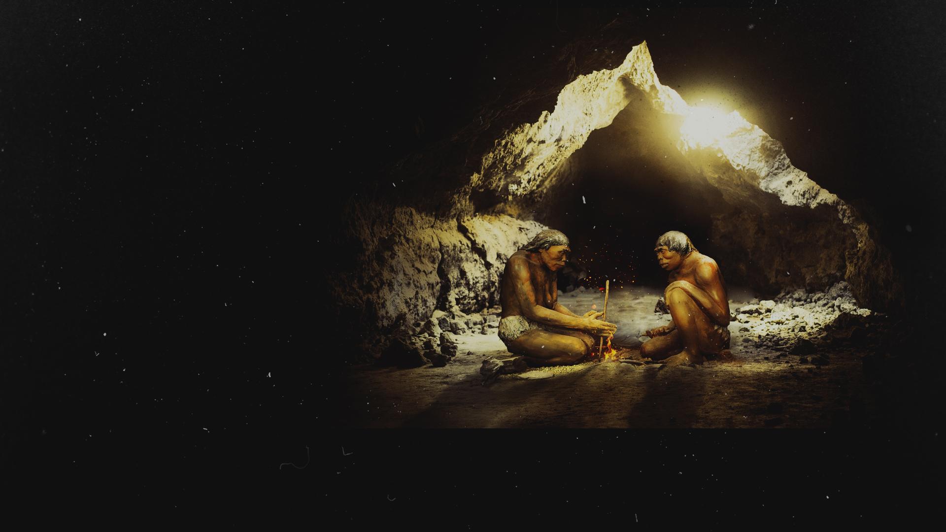 Symbiosis: Land of Neanderthals