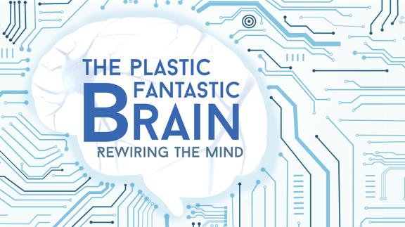The Plastic Fantastic Brain