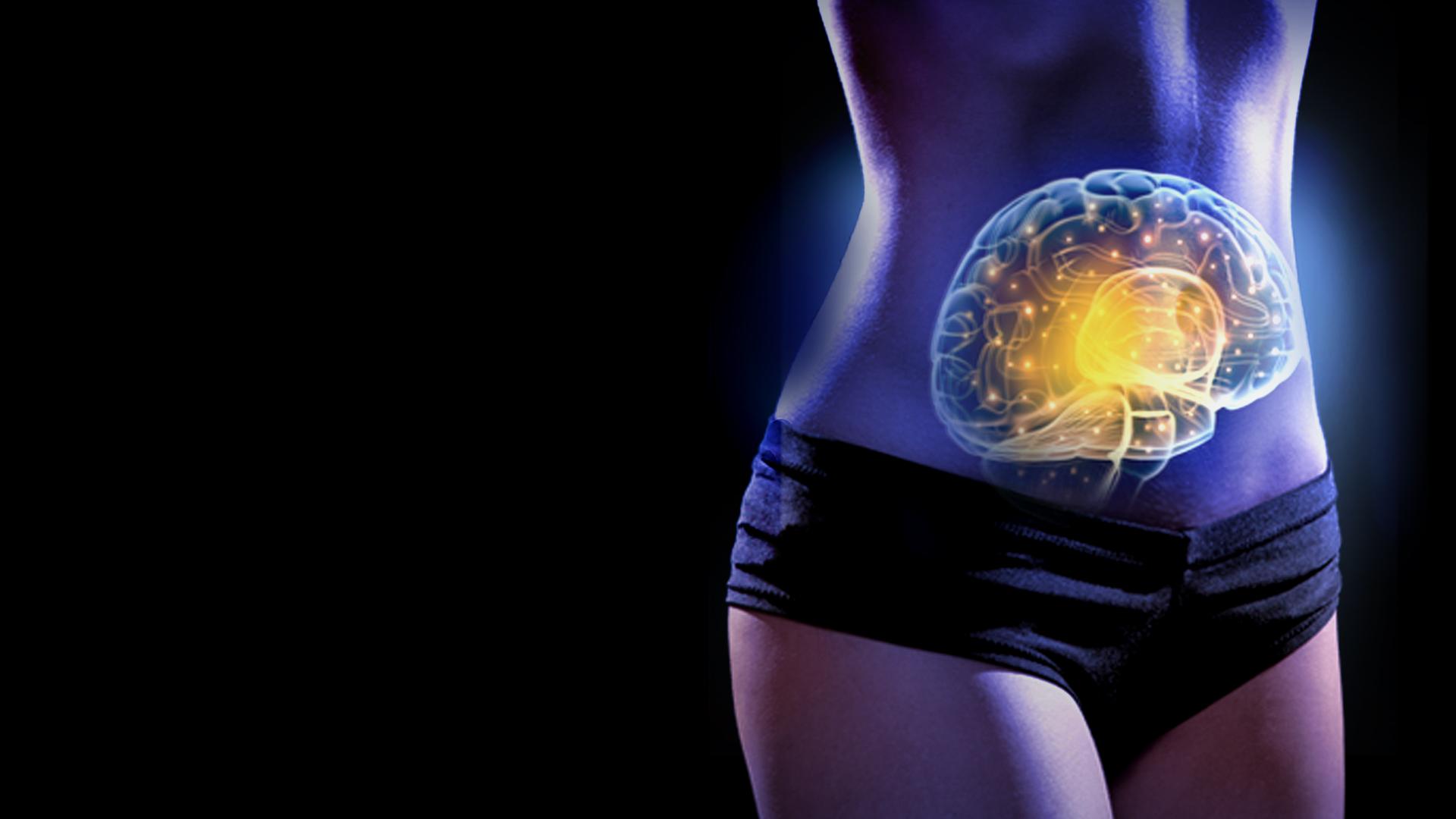 The Gut: Our Second Brain