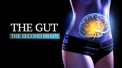 The Gut: Our Second Brain