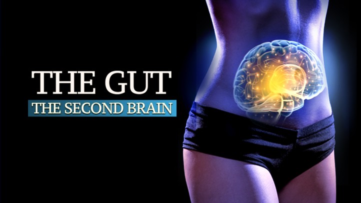 The Gut: Our Second Brain
