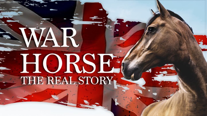 War Horse: The Real Story