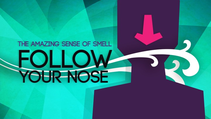 Follow Your Nose