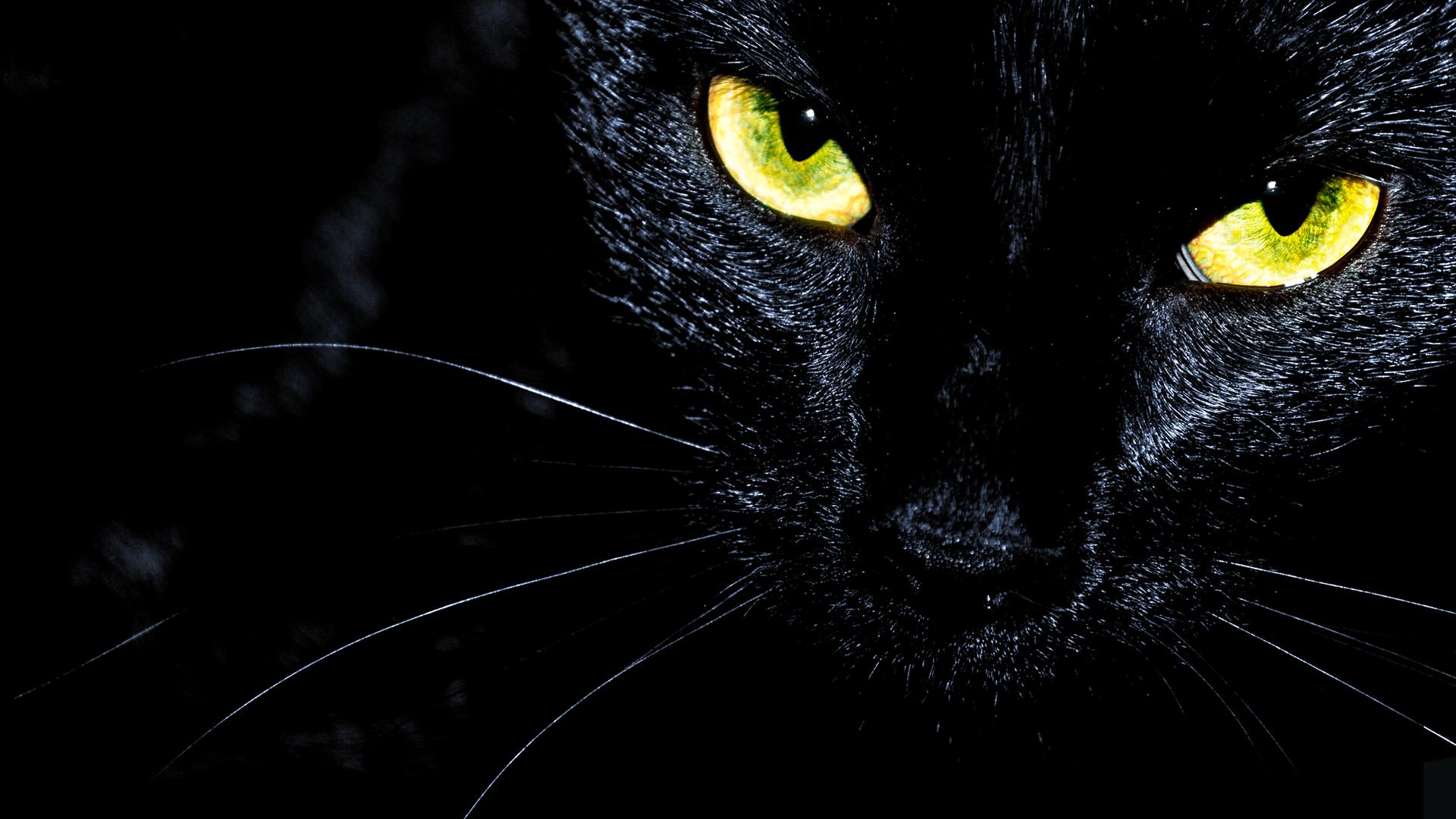 Superstitious Minds
