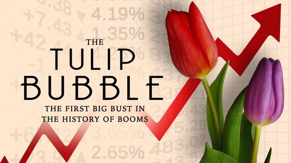 The Tulip Bubble