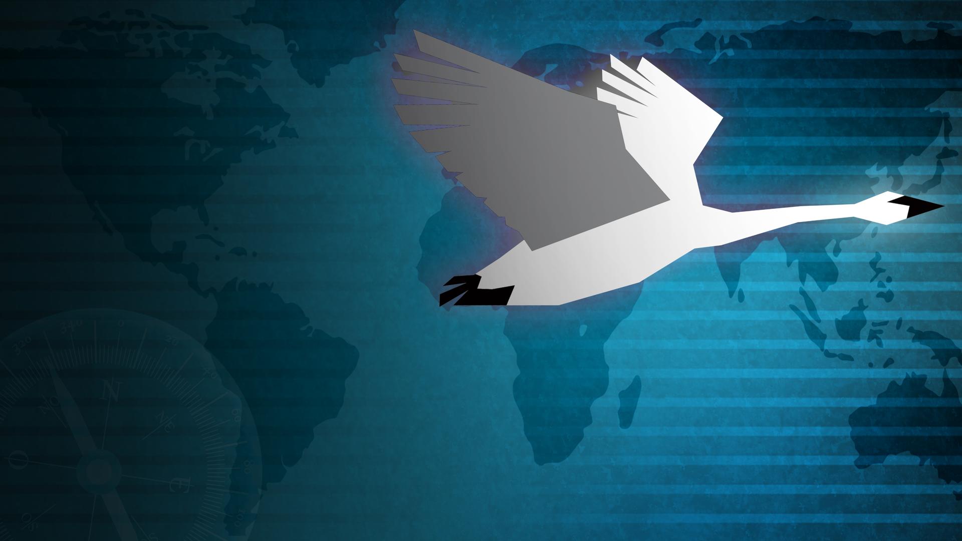 Migrating Birds: Scouts of Distant Worlds
