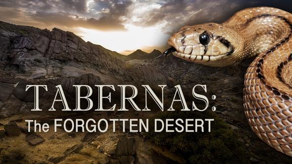 Tabernas: Forgotten Desert