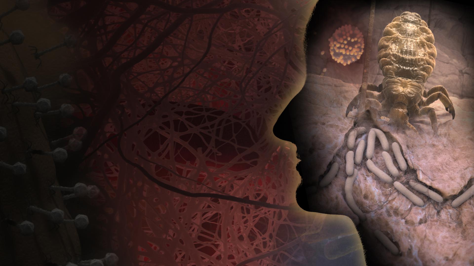 You, Planet: Biosphere of the Body