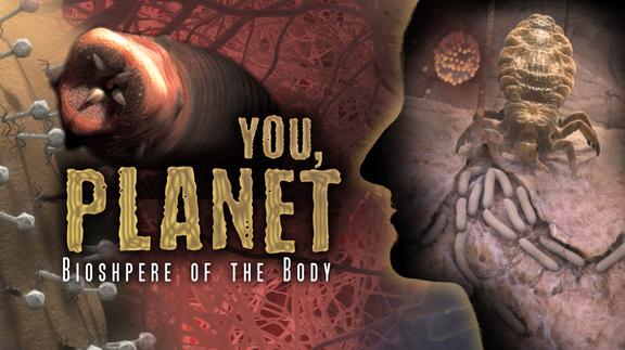 You, Planet: Biosphere of the Body