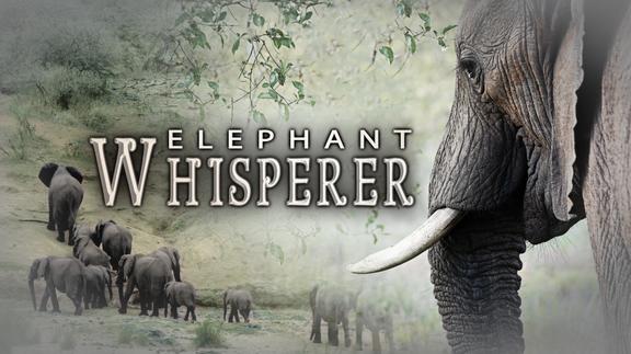 Elephant Whisperer