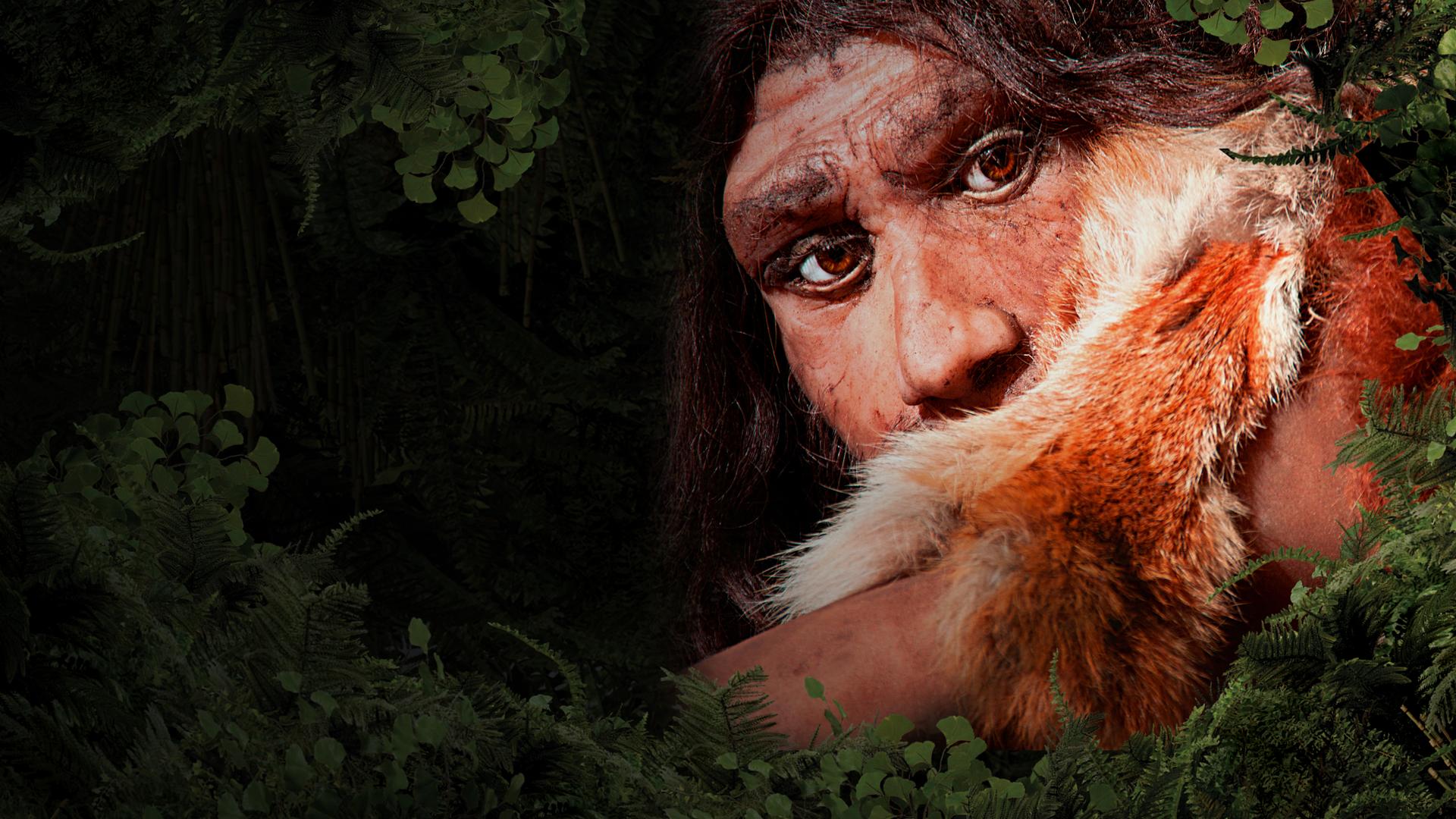 The Real Hobbit: Rethinking Human Origins