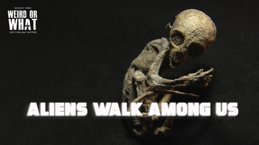 Aliens Walk Among Us