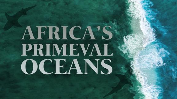 Africa's Primeval Oceans