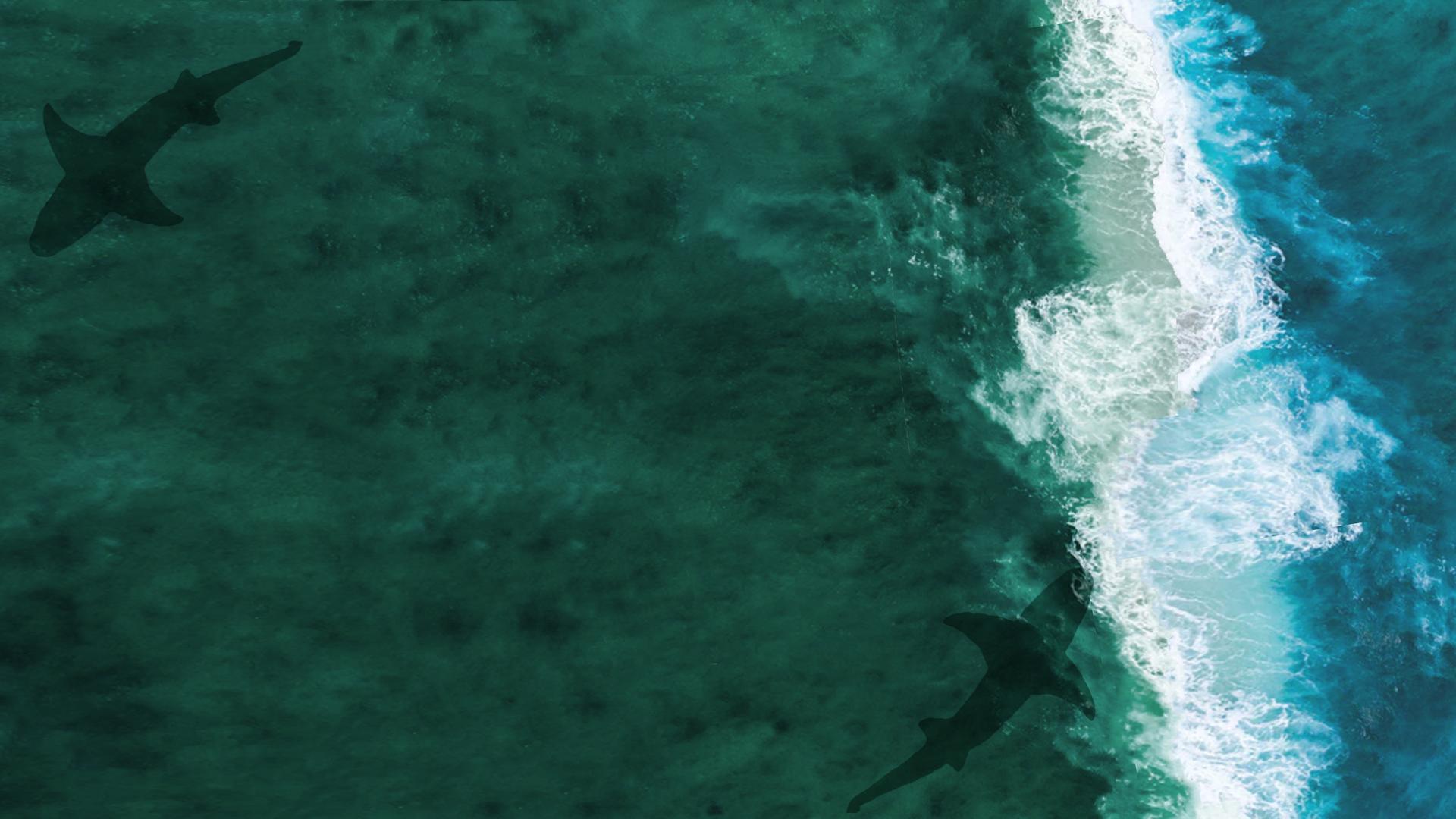 Africa's Primeval Oceans