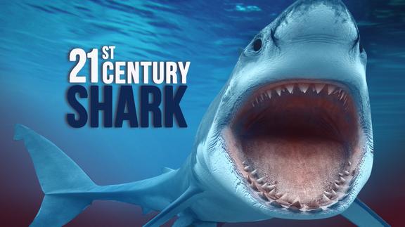 21st Century Shark
