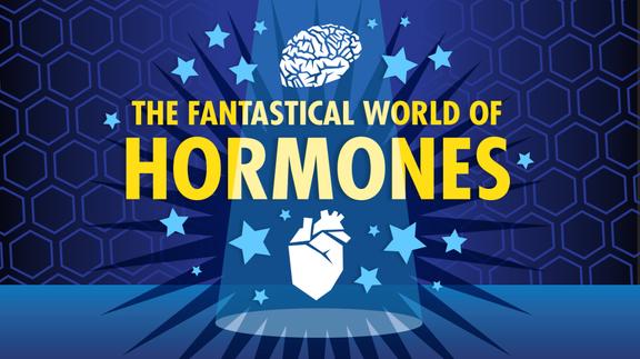 The Fantastical World of Hormones