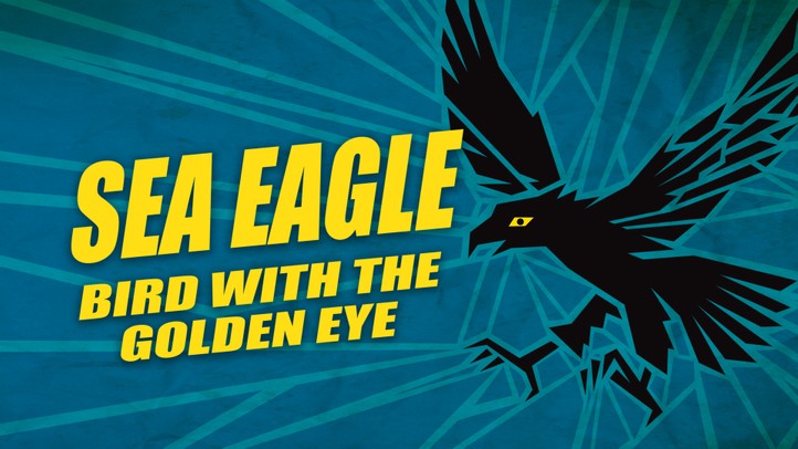 Sea Eagle: Bird with the Golden Eye