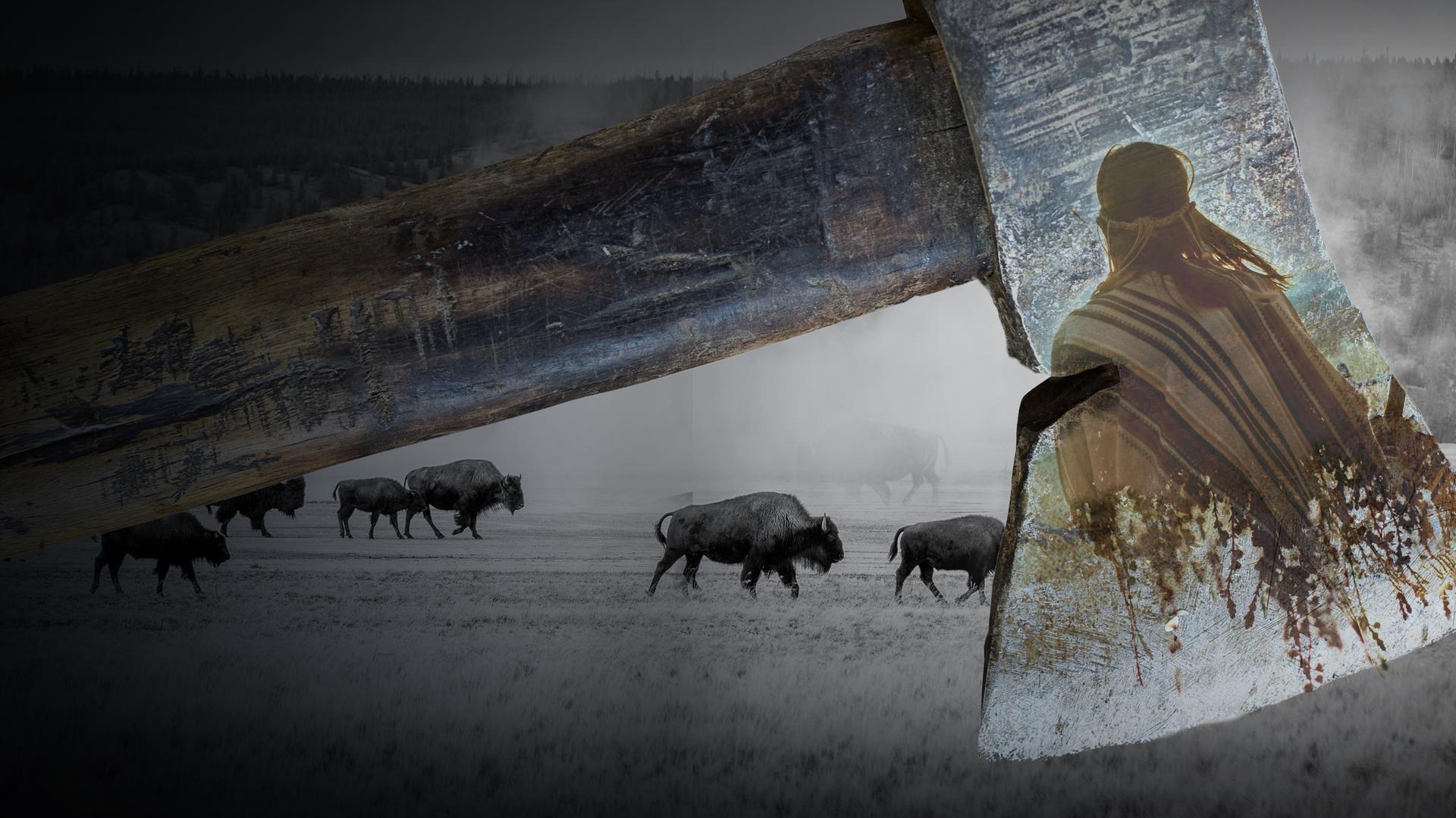 Curse of the Axe: Rewriting American History