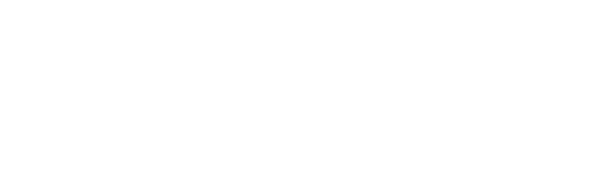 The Pilgrims: Journey Into The Unknown