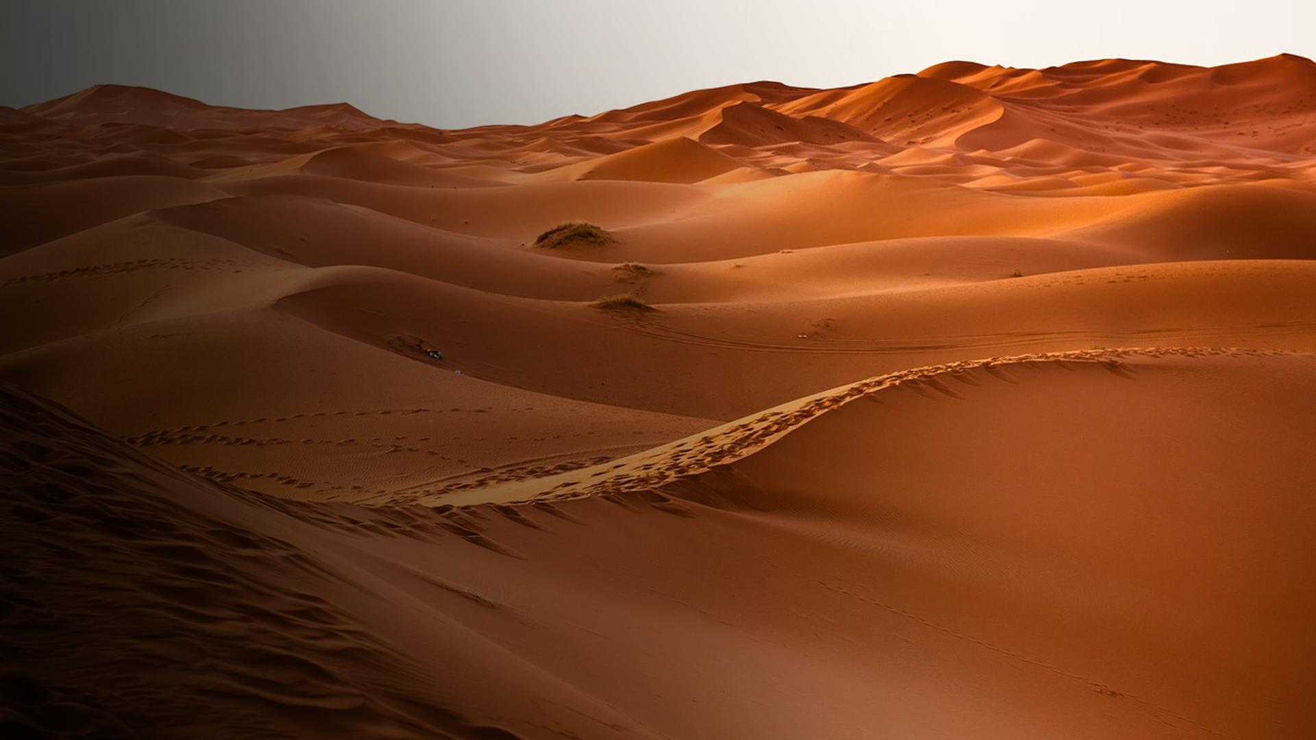 Deserts: Living in Extremes