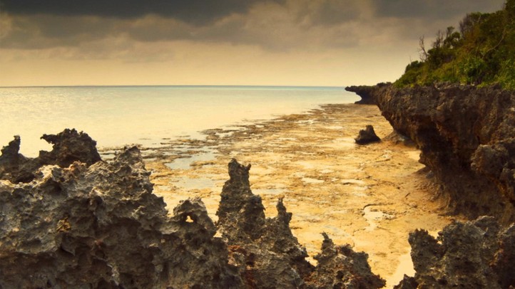 Zanzibar: Land of Giants