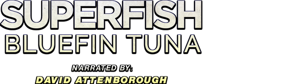 Bluefin Tuna: Superfish with David Attenborough