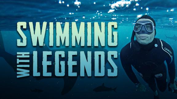 Swimming with Legends 4K