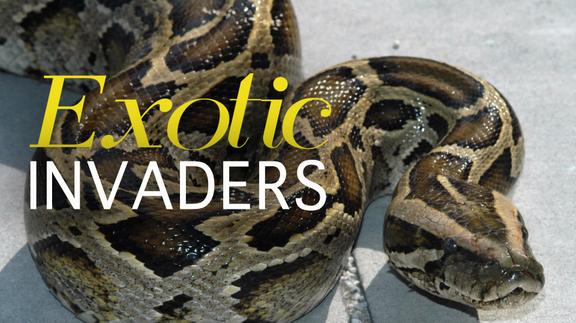 Exotic Invaders - Trailer