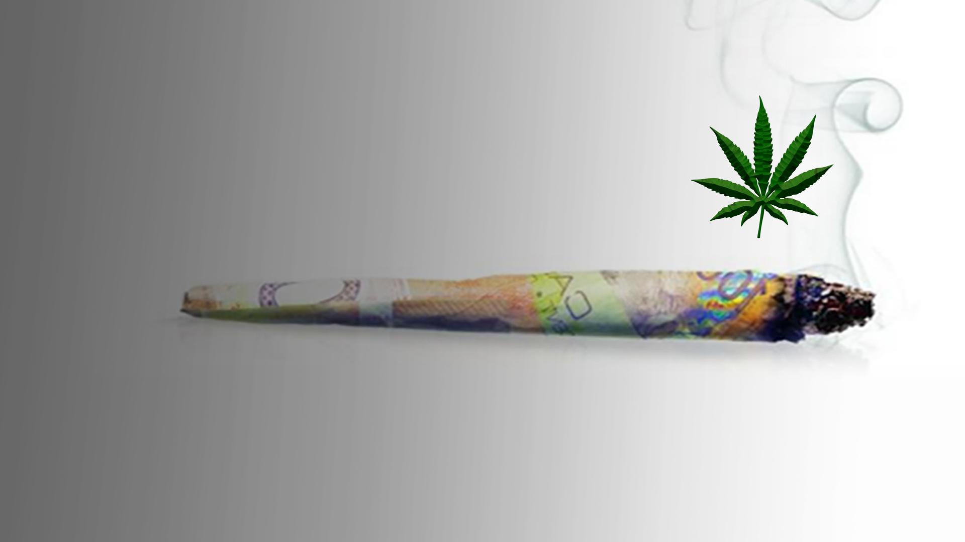 CannaBiz