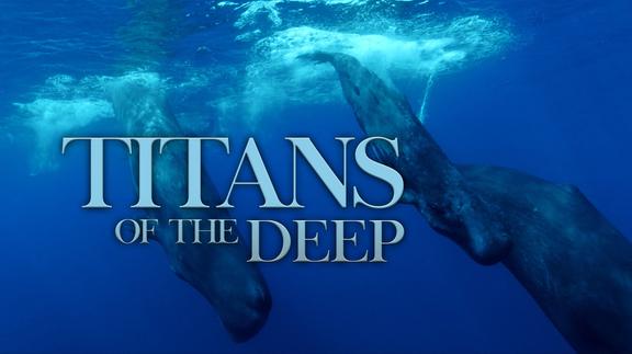 Titans of the Deep - Trailer