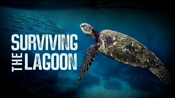 Surviving the Lagoon 4K
