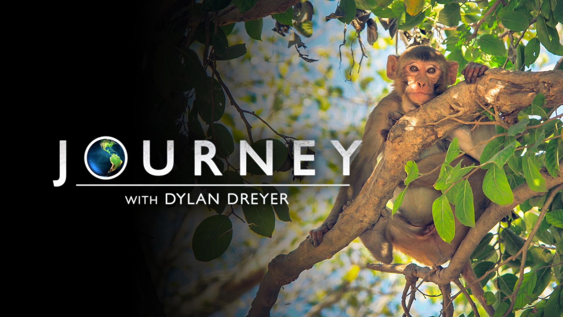 Journey With Dylan Dryer - Trailer