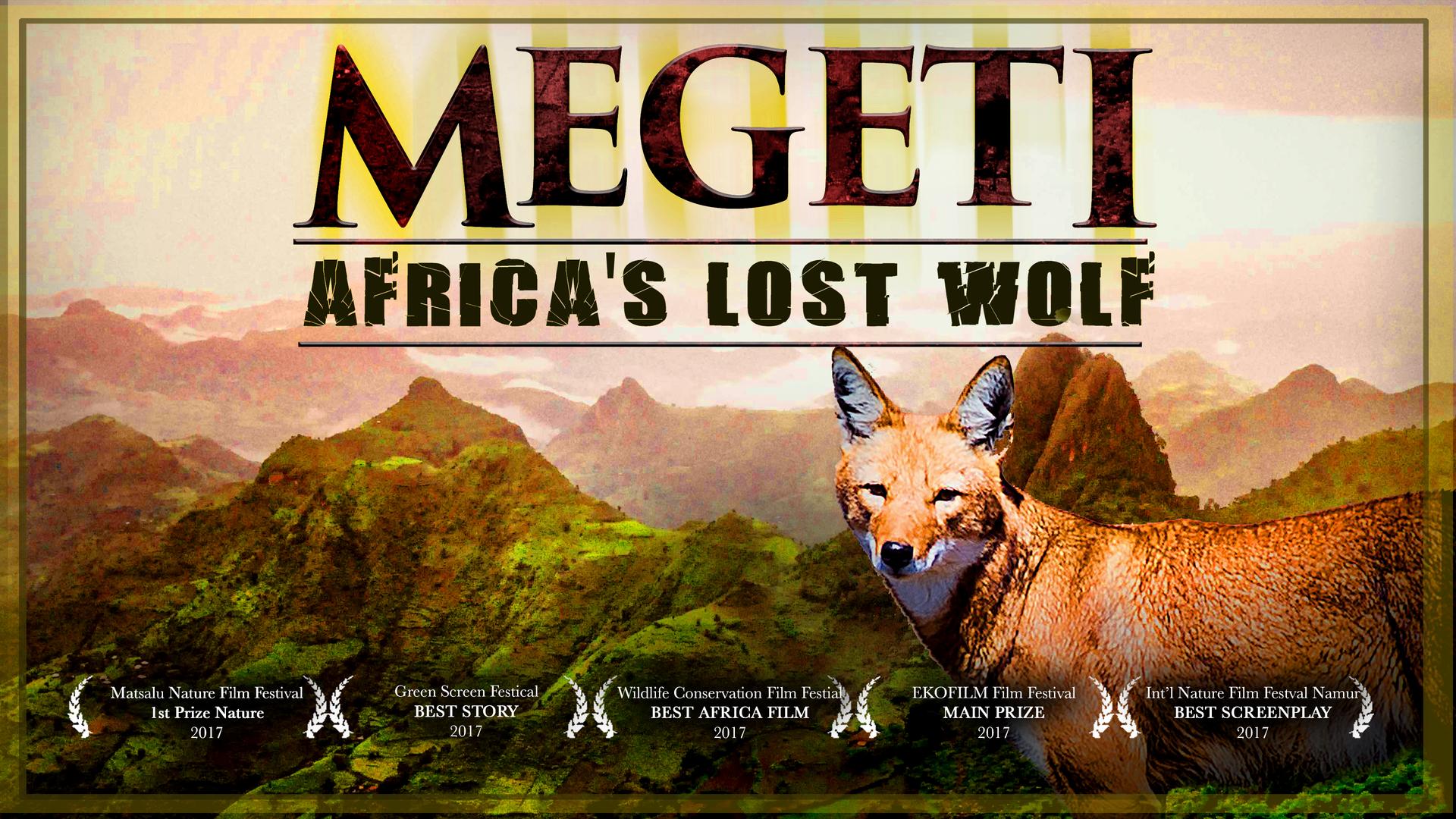 Megeti: Africa's Lost Wolf 4K