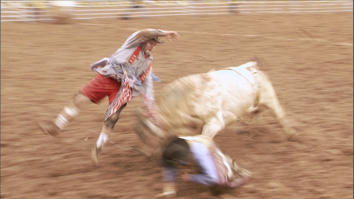 Bull Fighters