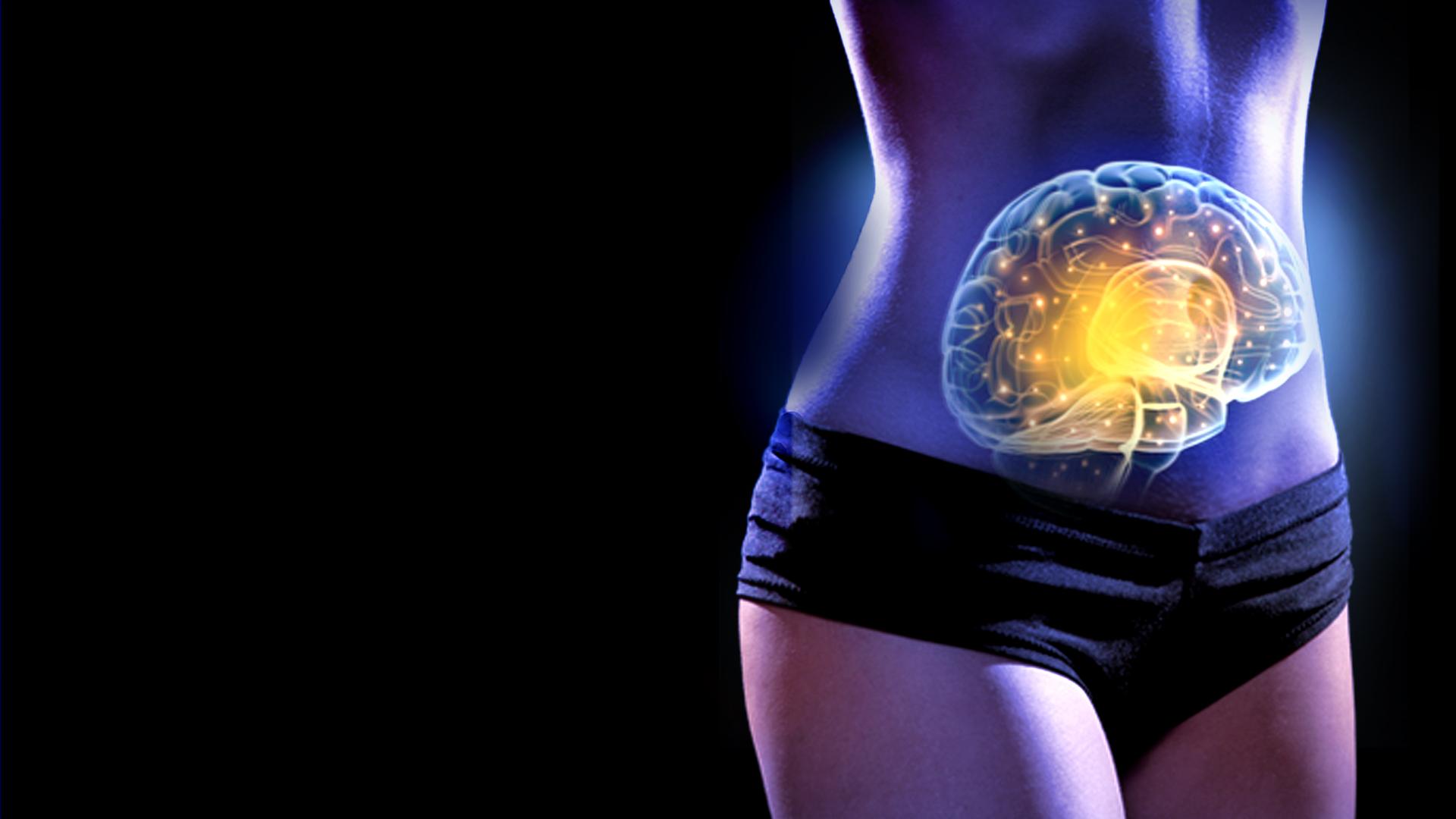 The Gut: Our Second Brain - Trailer