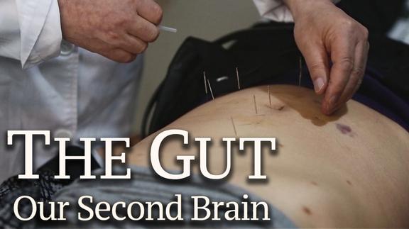 The Gut: Our Second Brain - Trailer
