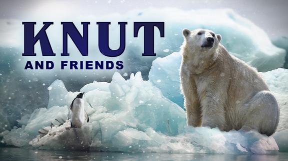 Knut and Friends