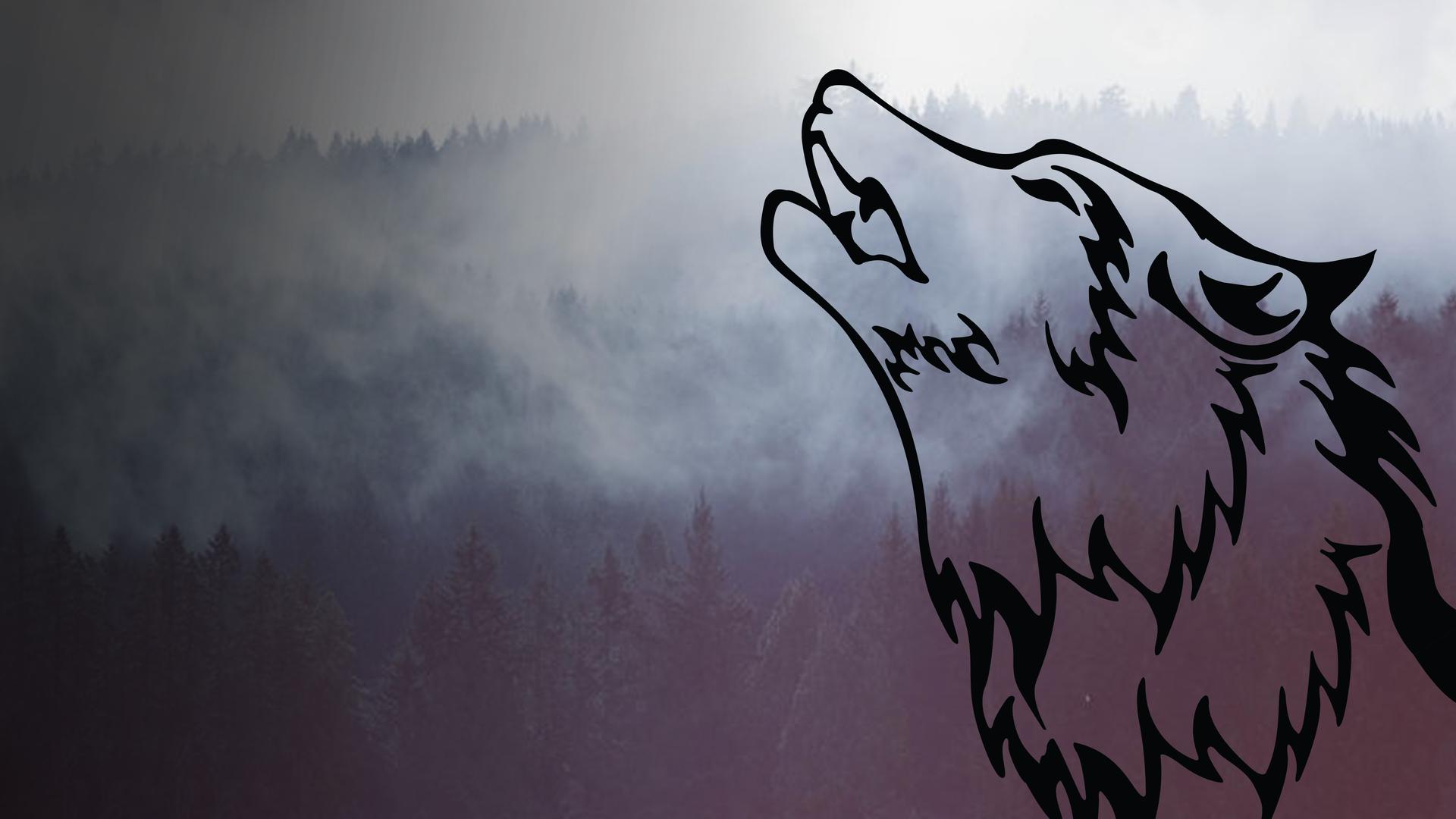 The Wolf: Marine Mammal