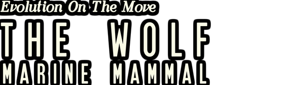 The Wolf: Marine Mammal