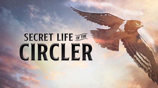 Secret Life of the Circler