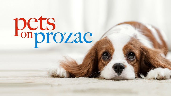 Pets on Prozac