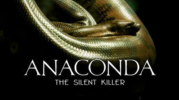 Anaconda: Silent Killer