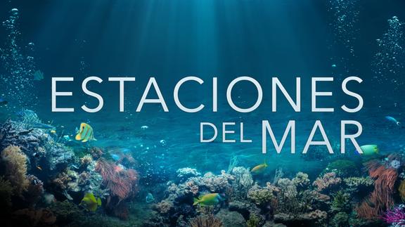 Estaciones del Mar