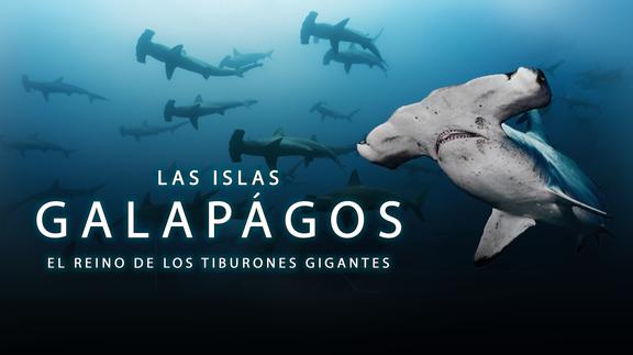 Las Islas Galápagos: El Reino de los Tiburones
