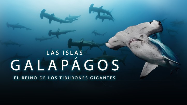 Las Islas Galápagos: El Reino de los Tiburones