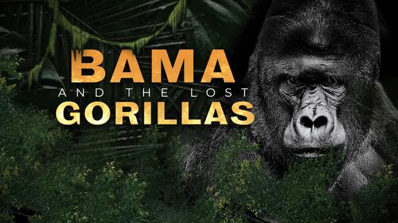Bama and the Lost Gorillas