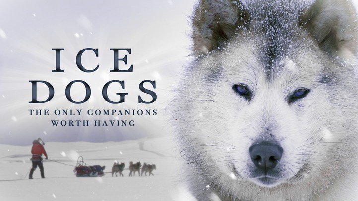 Ice Dogs: The Only Companions Worth Having 4K
