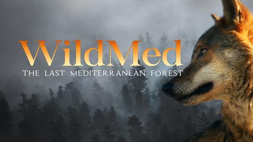 WildMed: The Last Mediterranean Forest